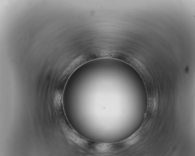 X0000089370142200706221229