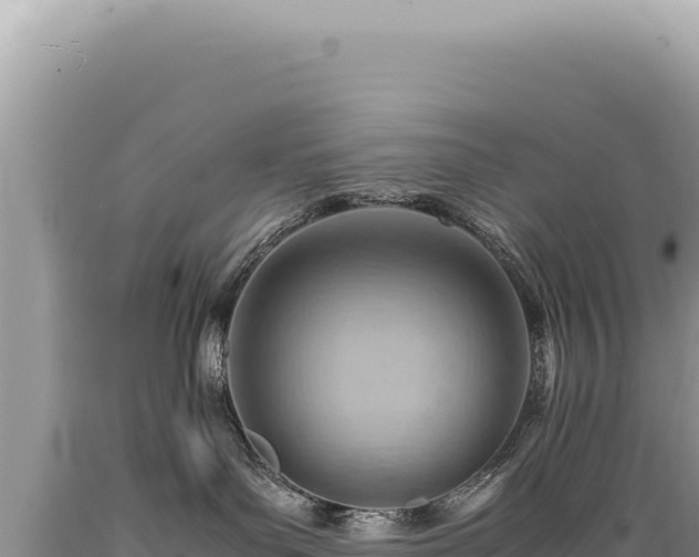 X0000089370143200706221229