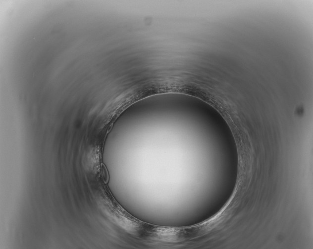 X0000089370144200706221229