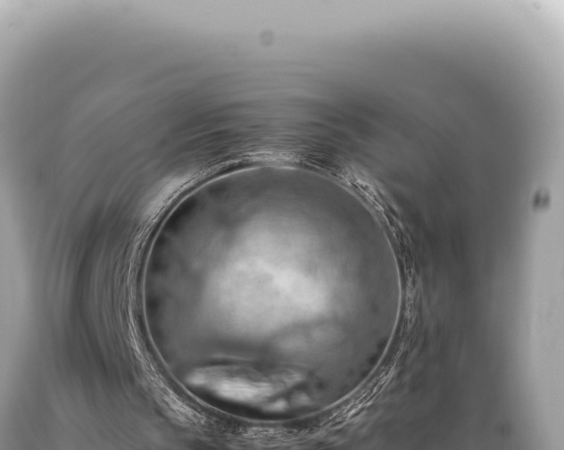 X0000089370145200706221228