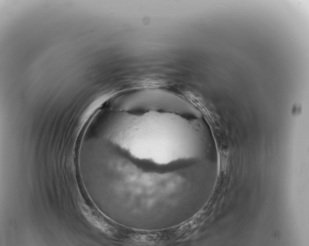 X0000089370147200706221228