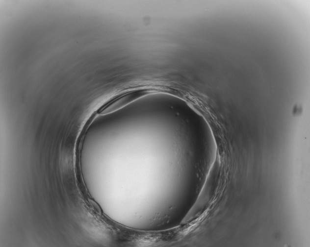 X0000089370148200706221228