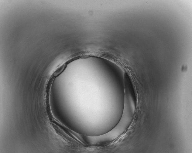 X0000089370150200706221228