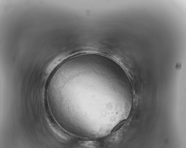 X0000089370151200706221228