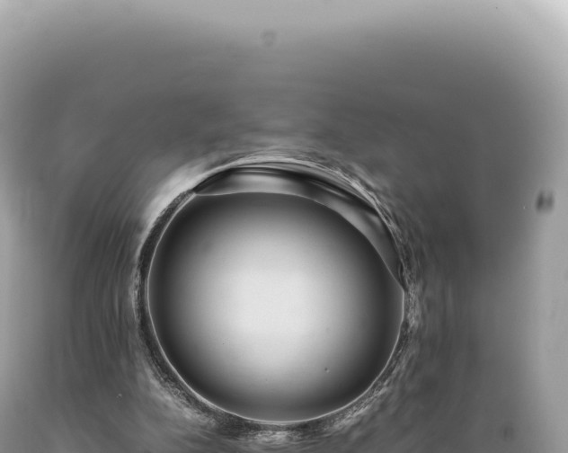 X0000089370152200706221228