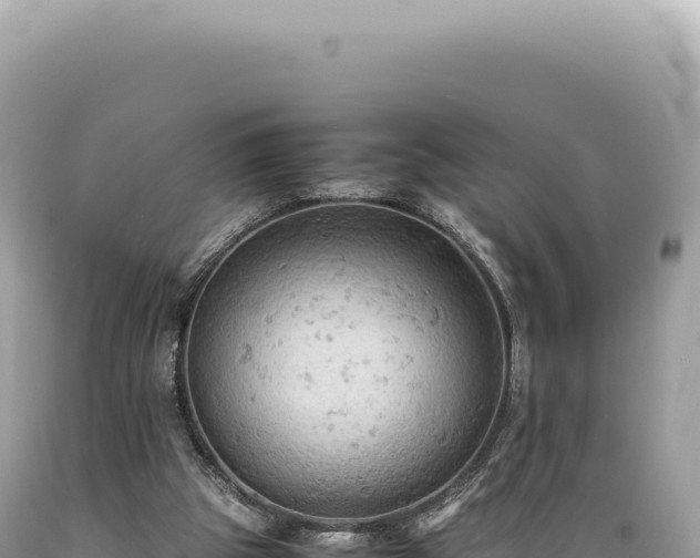 X0000089370153200706221228