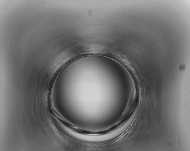 X0000089370154200706221228