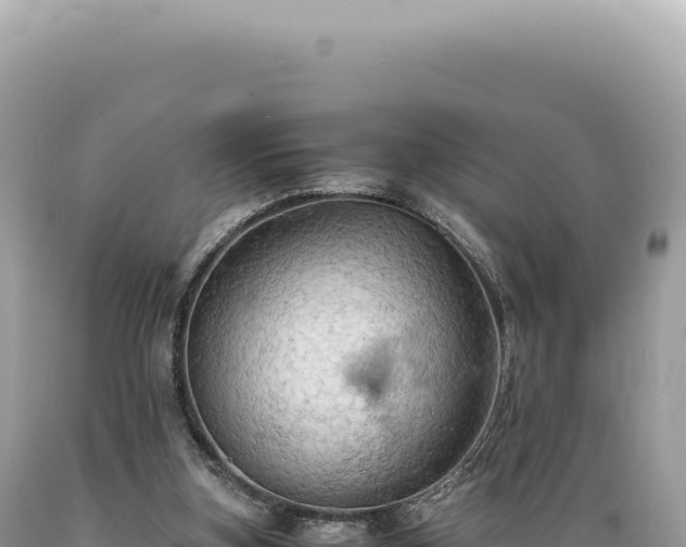 X0000089370155200706221228