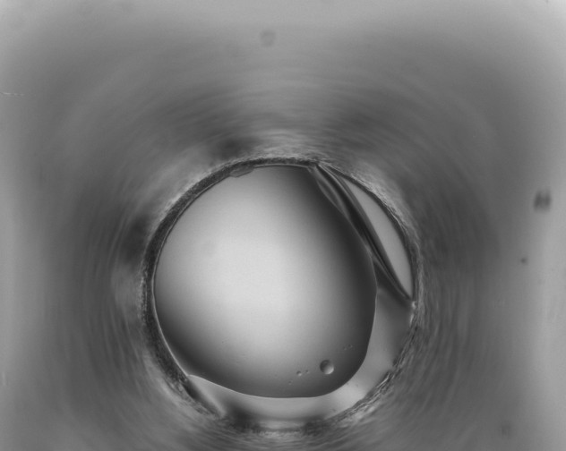 X0000089370156200706221228