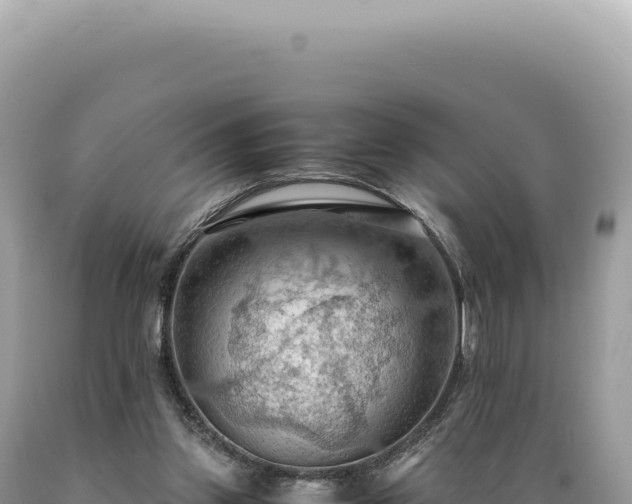 X0000089370157200706221228