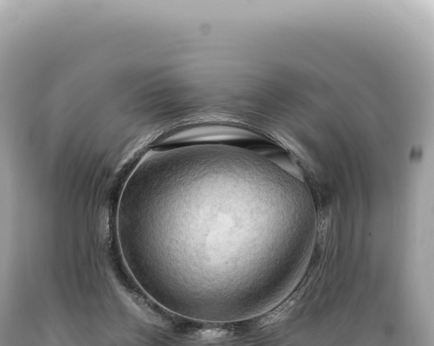 X0000089370158200706221228