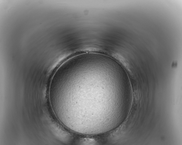 X0000089370159200706221228