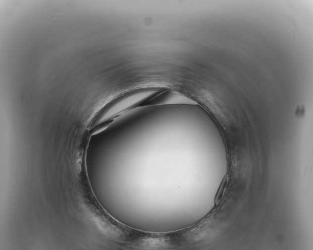 X0000089370160200706221228