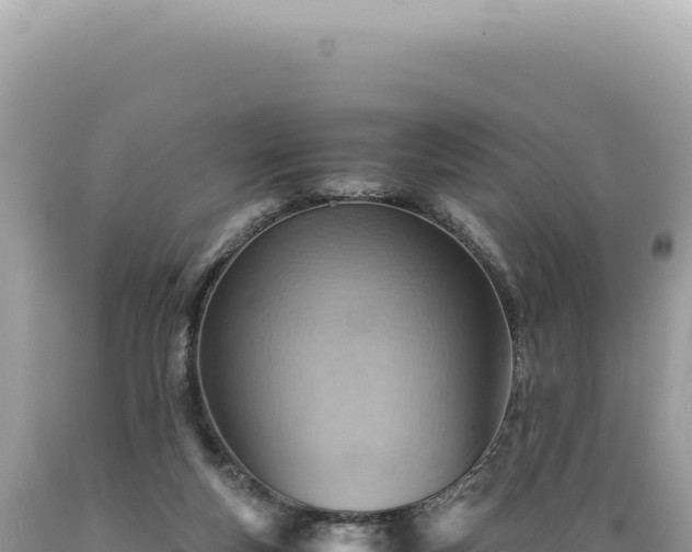 X0000089370163200706221228