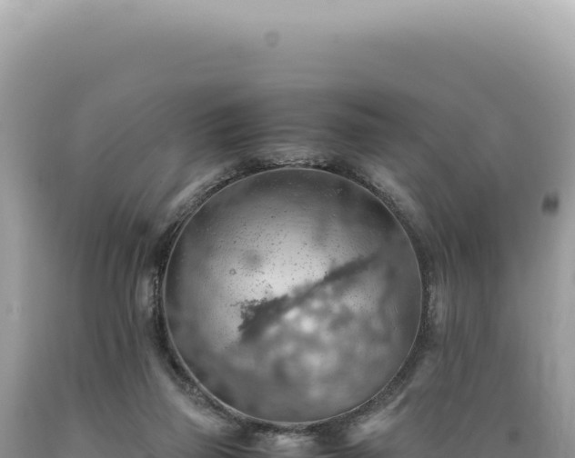 X0000089370165200706221228