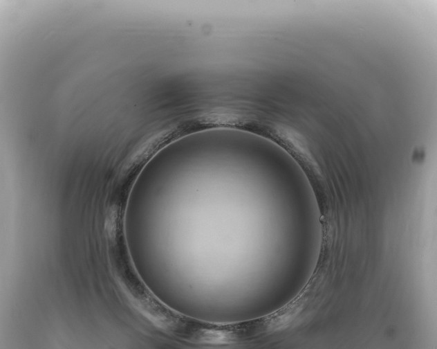 X0000089370167200706221228