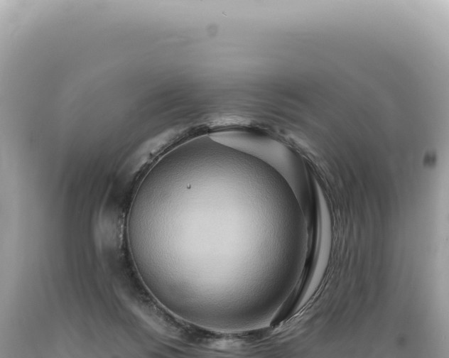 X0000089370168200706221229