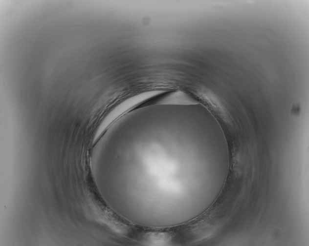 X0000089370169200706221229