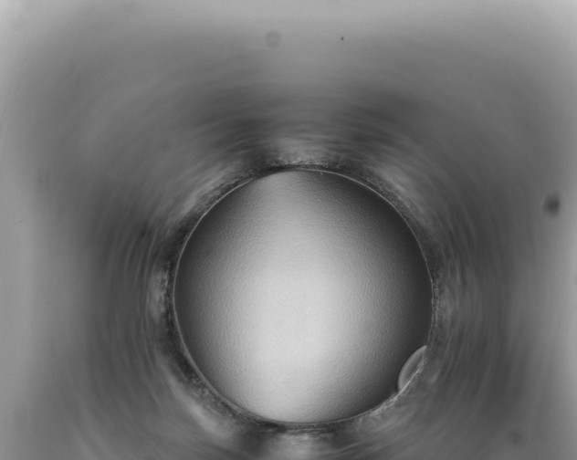 X0000089370171200706221229