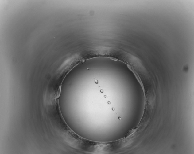X0000089370172200706221229