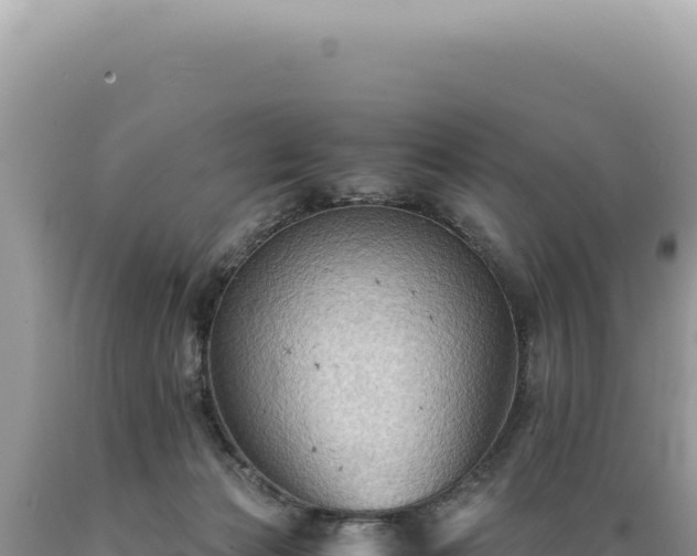X0000089370173200706221229