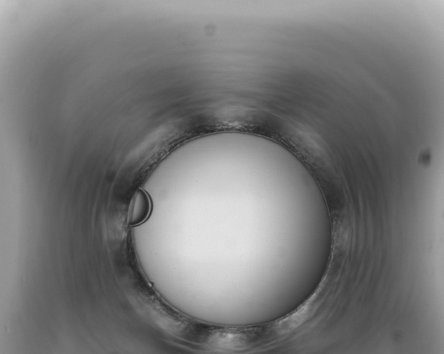 X0000089370174200706221229
