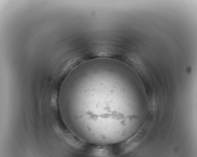 X0000089370175200706221229