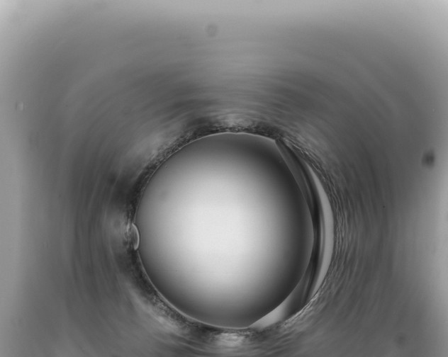 X0000089370176200706221229