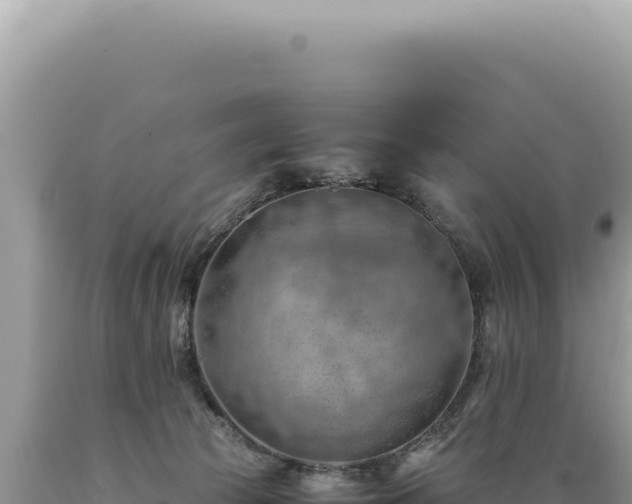 X0000089370177200706221229