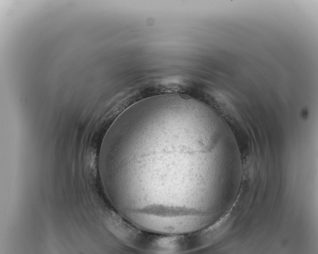 X0000089370178200706221229