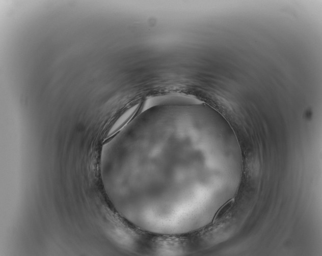 X0000089370181200706221229