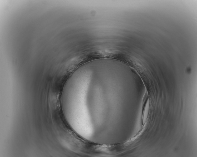 X0000089370182200706221229