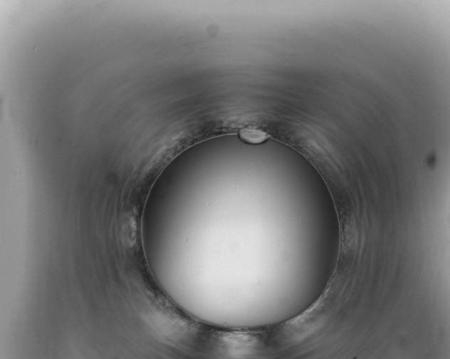 X0000089370183200706221229