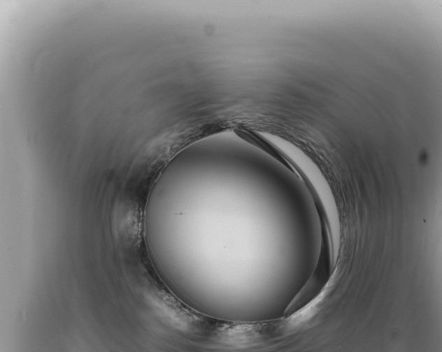 X0000089370186200706221229