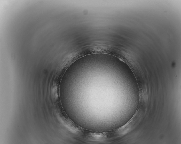 X0000089370187200706221229