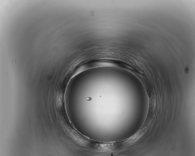 X0000089370188200706221229