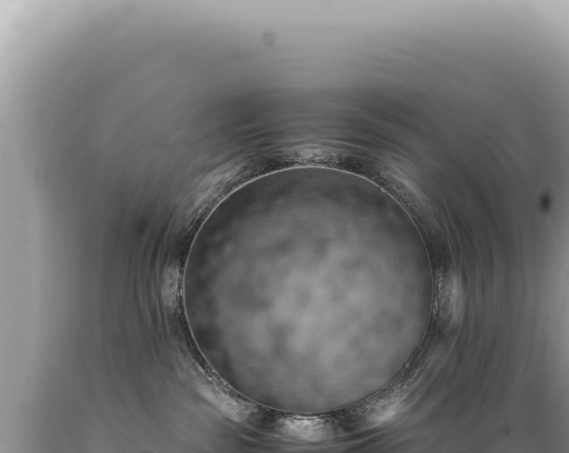 X0000089370189200706221229
