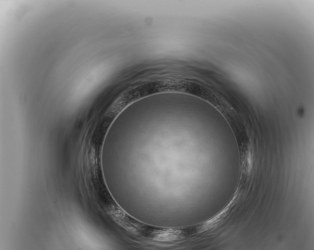 X0000089370191200706221229