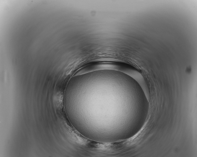 X0000089370192200706221229