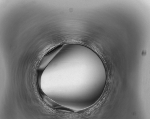 X0000089370193200706221228