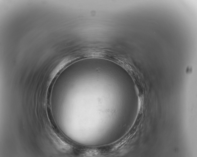 X0000089370195200706221228