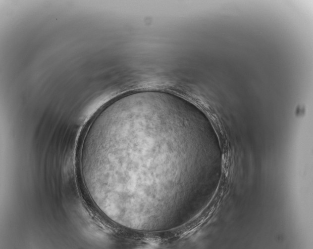 X0000089370196200706221228