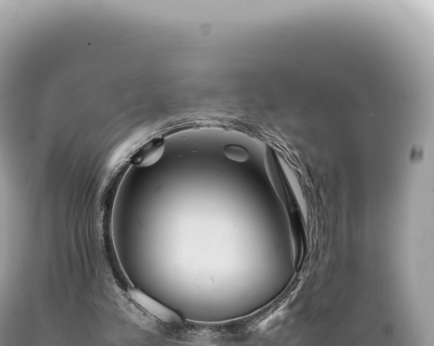 X0000089370197200706221228