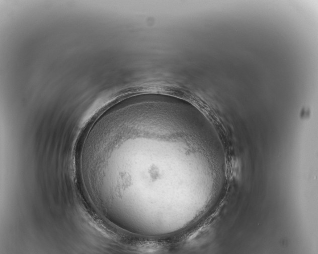 X0000089370198200706221228