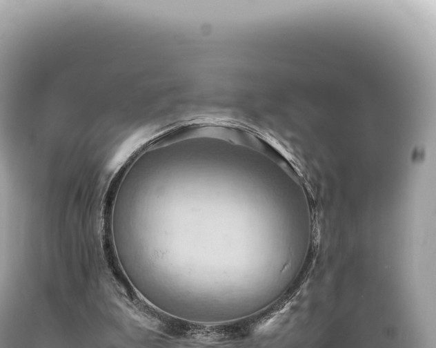 X0000089370199200706221228