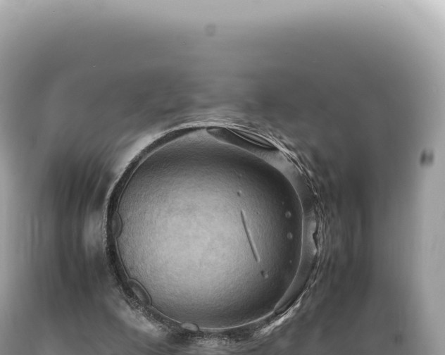 X0000089370200200706221228