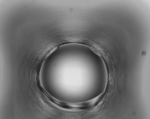 X0000089370201200706221228