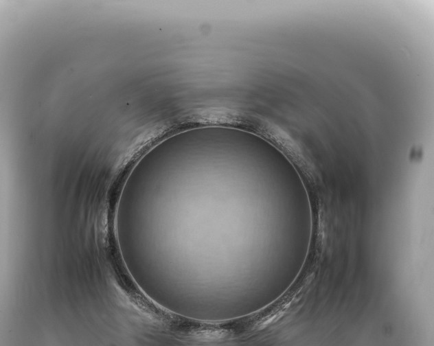 X0000089370202200706221228
