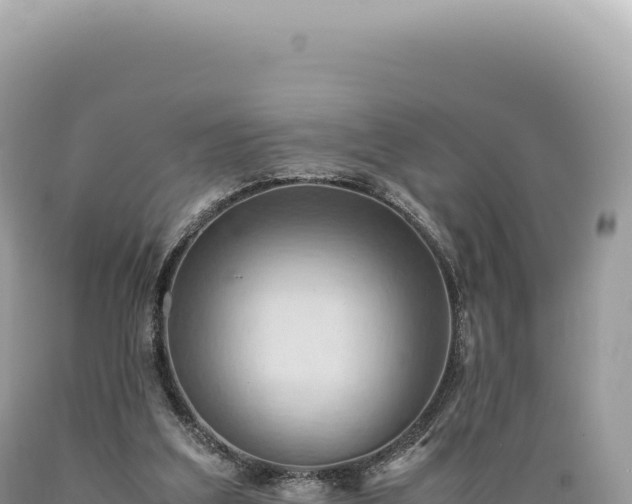 X0000089370203200706221228