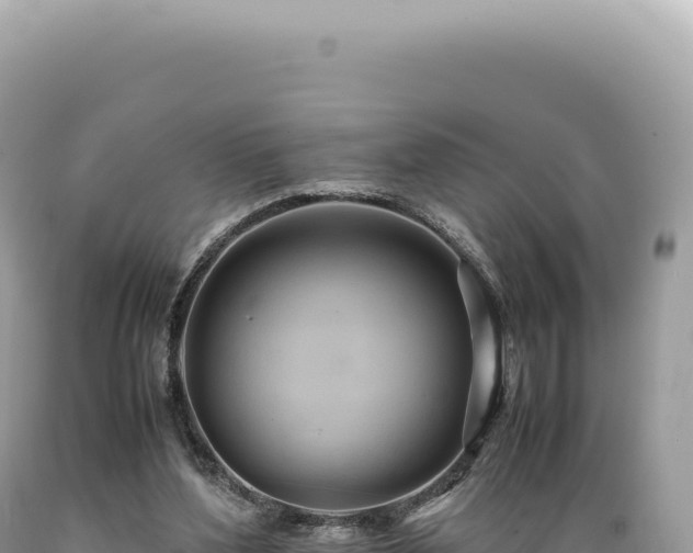 X0000089370204200706221228